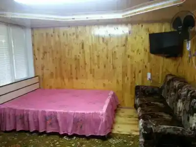 Semeynyy uyut - 28