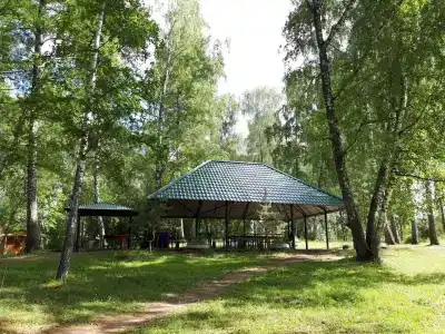 Beryozovaya roshcha - 5