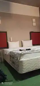 Bronzoviy Kaban Avtorskiy - 22