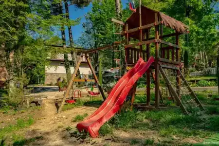 Green Wood - 28