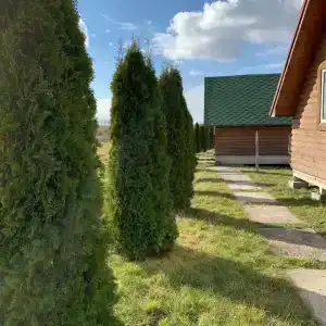 Celinburg Guest House - 4