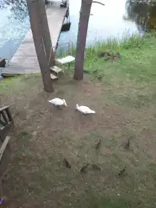 Recreation center SelyavaTur - 69