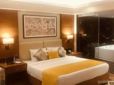 Golden Tulip Jaipur - 35