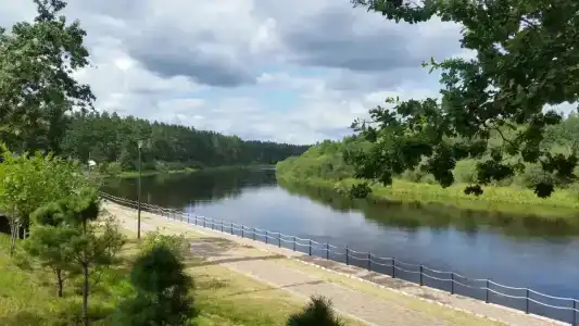 Berezinskaya Dubrava - 13