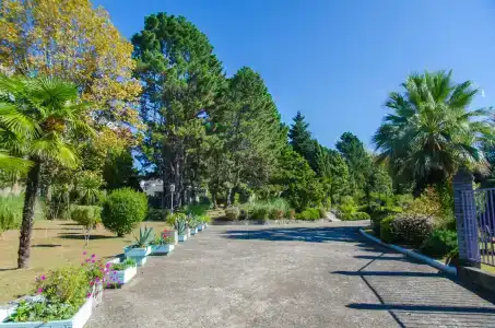 Pansionat izumrud Health resort - 13