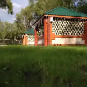 Piknikovyy ray - 39