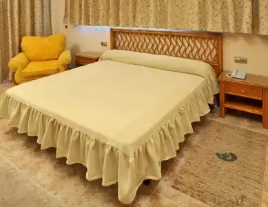 Kaktus Kaktus Albir - 61