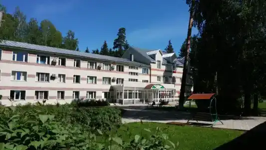 Sanatorium Sosnovyy bor - 11