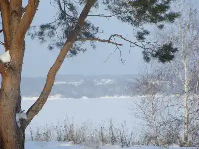 Sanatorium-profilaktoriy Zhemchuzhina - 1
