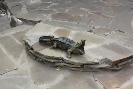 Tihiy Prichal Tourist base - 35