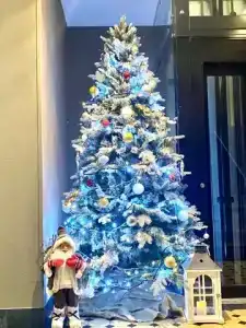 Avtorskij Parradosso - 23