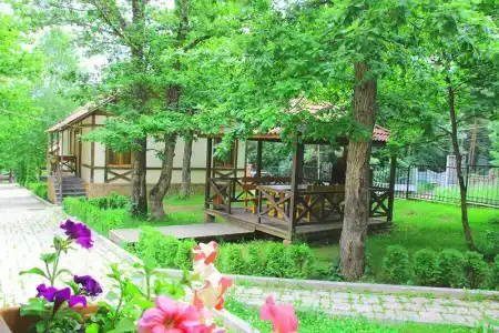 Splendor Resort and Restaurant - 8