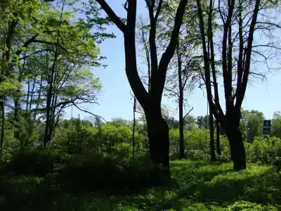 Trudovye rezervy - 2