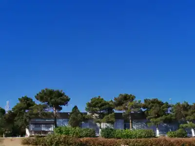 турбаза Прибой - 53