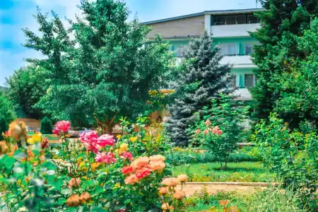 Rus Health Resort - 10