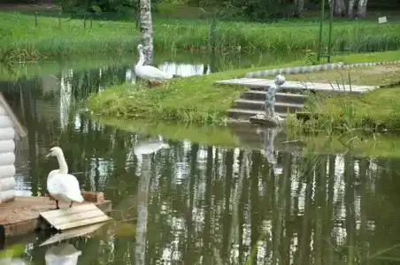 Eco Park Tourist base - 15