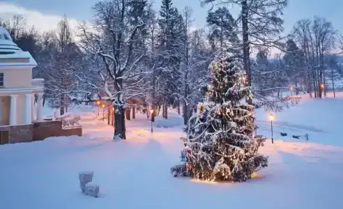 Usad'bu Mar'ino - 46