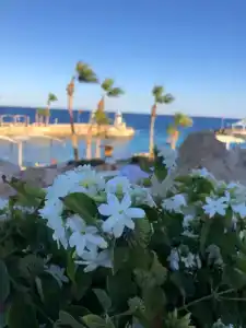 Pickalbatros Citadel Resort Sahl Hasheesh - 70