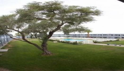 EZ 8 Motel Airporter - 0