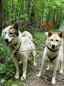 Nekrasovo Tourist base - 66