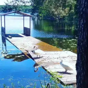 Recreation center SelyavaTur - 2