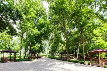 Nadezhda Park-Hotel - 23