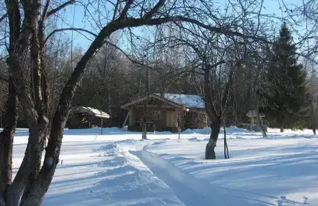 База отдыха Дубки - 12