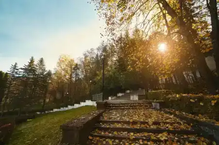 Sanatorij "Rodnik" - 25