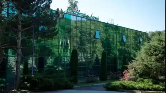 Sanatorii Lesnoi - 1