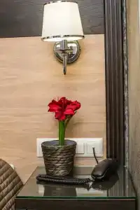 Эра на Цимбалина - 13