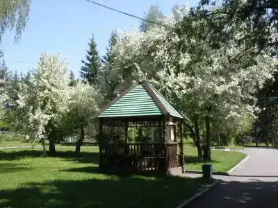Sanatorium Sosnovyy bor - 16