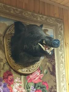 Plescheevo Recreation camp - 49