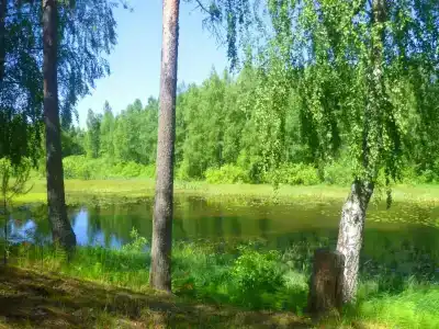 Recreation center Nyomda - 8