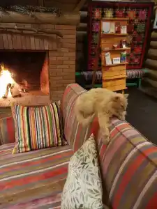 Gorodskaya Bobrovaya Dolina - 23