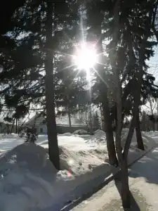Sanatorium Sosnovyy bor - 2