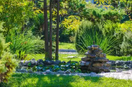 Pansionat izumrud Health resort - 15