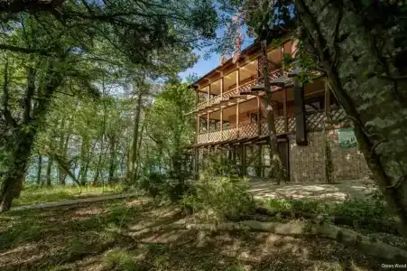 Green Wood - 32