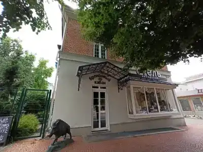 Bronzoviy Kaban Avtorskiy - 24