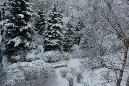 Русский Капитал - 100