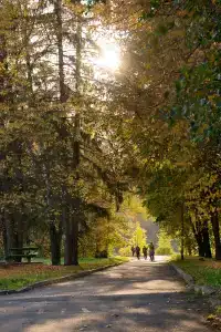 Санаторий Солнечногорский Минобороны России - 3