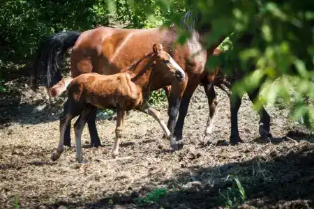 Sanatorium Bakirovo - 5