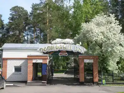 Sanatorium Sosnovyy bor - 36