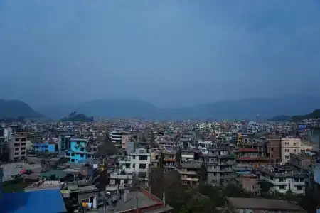 Holy Temple Tree & Chautari Cafe - 1
