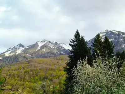  - 50