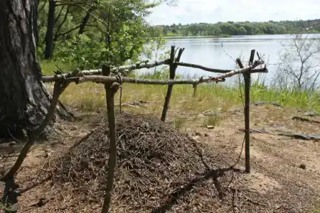 Recreation center SelyavaTur - 40