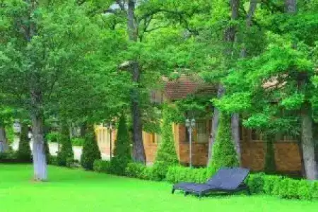 Splendor Resort and Restaurant - 1