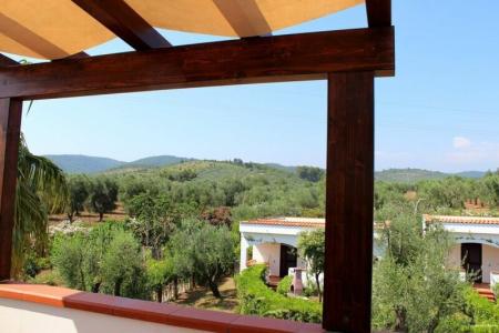Residence Villantica - 11