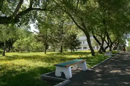 Sanatorium Sosnovyy bor - 24