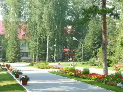 Berezovaya roshcha - 1
