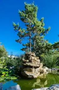 Pansionat izumrud Health resort - 16